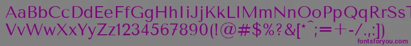 TenorsansRegular Font – Purple Fonts on Gray Background
