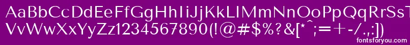TenorsansRegular Font – White Fonts on Purple Background
