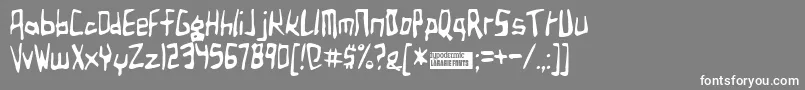 フォントBirdland – 灰色の背景に白い文字