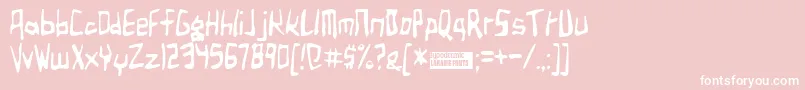 Birdland Font – White Fonts on Pink Background