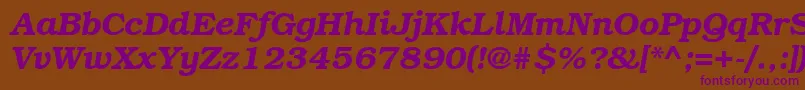 BookmanattBolditalic Font – Purple Fonts on Brown Background