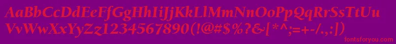 ItcBerkeleyOldstyleLtBlackItalic Font – Red Fonts on Purple Background