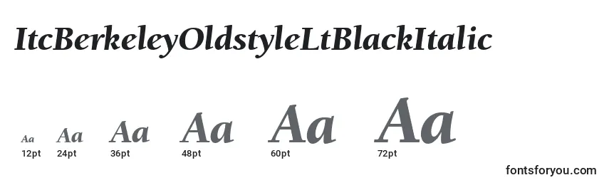 ItcBerkeleyOldstyleLtBlackItalic Font Sizes