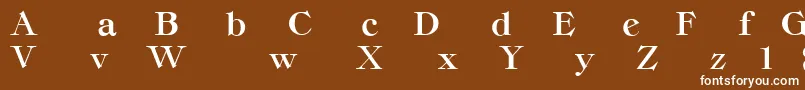 Czcionka ClassicaHeavyRegular – białe czcionki na brązowym tle