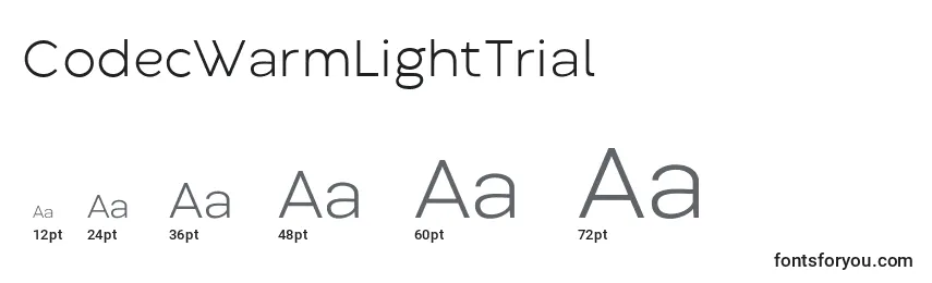 CodecWarmLightTrial Font Sizes