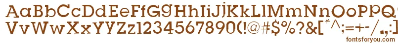 SlugBugOpenRegular Font – Brown Fonts on White Background