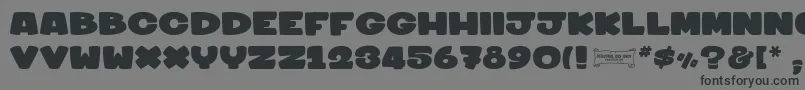 Шрифт Sharkymeduza1 – чёрные шрифты на сером фоне