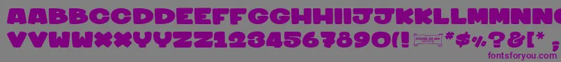 フォントSharkymeduza1 – 紫色のフォント、灰色の背景