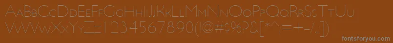 UltimapdbcUltralightsmallc Font – Gray Fonts on Brown Background