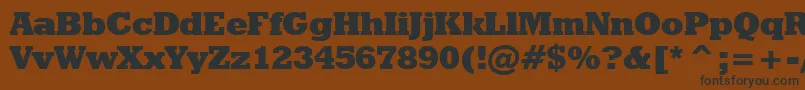 Шрифт GeometricSlabserif712ExtraBoldBt – чёрные шрифты на коричневом фоне