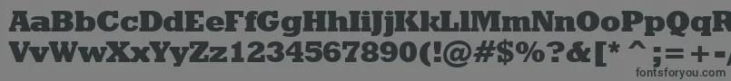 Czcionka GeometricSlabserif712ExtraBoldBt – czarne czcionki na szarym tle