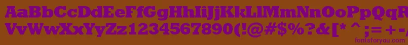 GeometricSlabserif712ExtraBoldBt Font – Purple Fonts on Brown Background