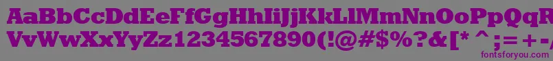 Шрифт GeometricSlabserif712ExtraBoldBt – фиолетовые шрифты на сером фоне