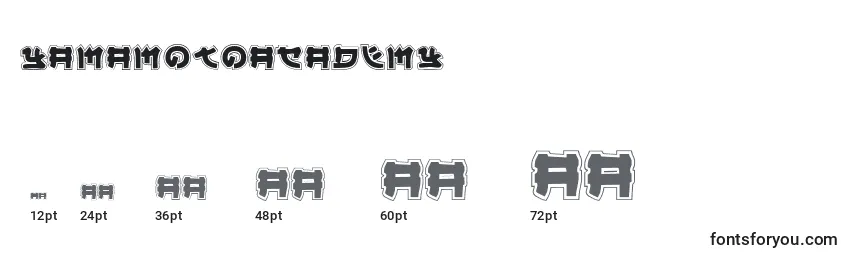 Размеры шрифта YamaMotoAcademy