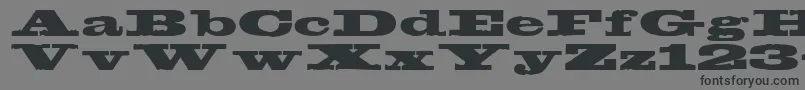 Egyptien Font – Black Fonts on Gray Background