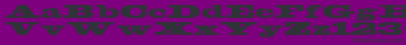 Egyptien Font – Black Fonts on Purple Background