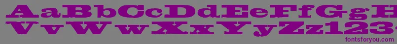 Egyptien Font – Purple Fonts on Gray Background