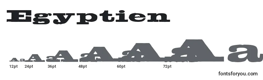 Размеры шрифта Egyptien