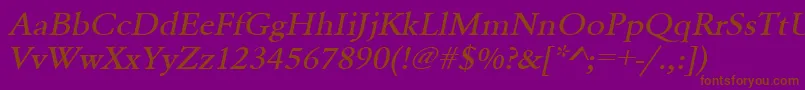 Police UrwgaramondtmedextwidOblique – polices brunes sur fond violet