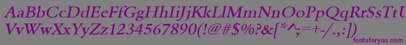 UrwgaramondtmedextwidOblique Font – Purple Fonts on Gray Background
