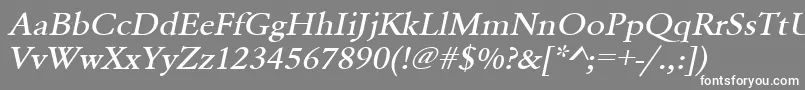 UrwgaramondtmedextwidOblique Font – White Fonts on Gray Background