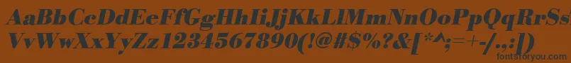 BodonistdBolditalic Font – Black Fonts on Brown Background
