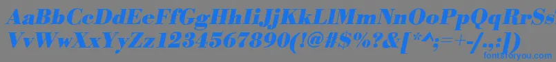 BodonistdBolditalic Font – Blue Fonts on Gray Background