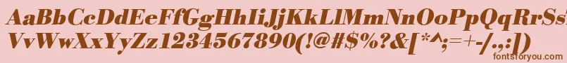 BodonistdBolditalic Font – Brown Fonts on Pink Background