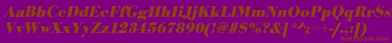 フォントBodonistdBolditalic – 紫色の背景に茶色のフォント
