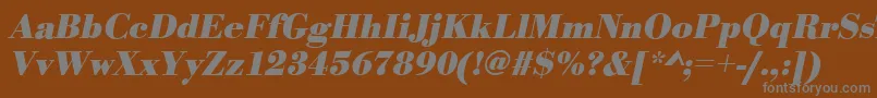 BodonistdBolditalic-fontti – harmaat kirjasimet ruskealla taustalla