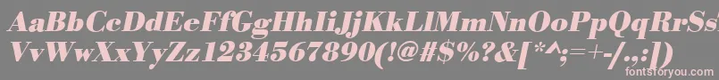 BodonistdBolditalic Font – Pink Fonts on Gray Background