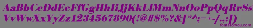 BodonistdBolditalic Font – Purple Fonts on Gray Background