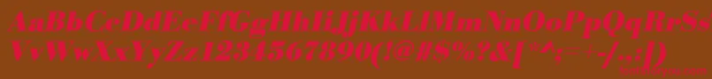 BodonistdBolditalic Font – Red Fonts on Brown Background
