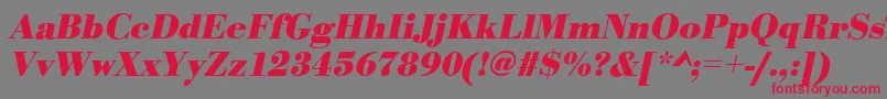 BodonistdBolditalic Font – Red Fonts on Gray Background