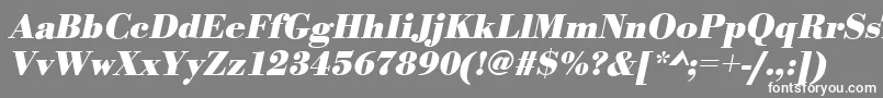 フォントBodonistdBolditalic – 灰色の背景に白い文字