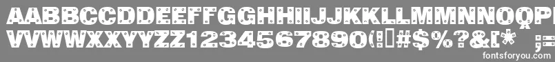 フォントSansplatecaps – 灰色の背景に白い文字