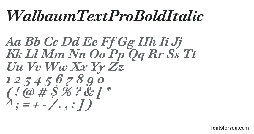 Czcionka WalbaumTextProBoldItalic – alfabet, cyfry, specjalne znaki