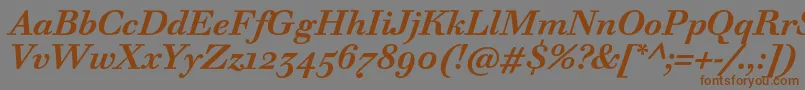 WalbaumTextProBoldItalic Font – Brown Fonts on Gray Background