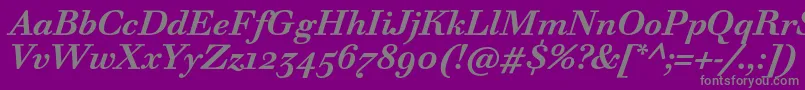 フォントWalbaumTextProBoldItalic – 紫の背景に灰色の文字