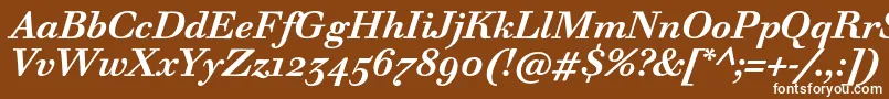 WalbaumTextProBoldItalic Font – White Fonts on Brown Background