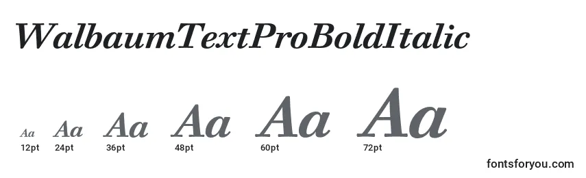 WalbaumTextProBoldItalic Font Sizes