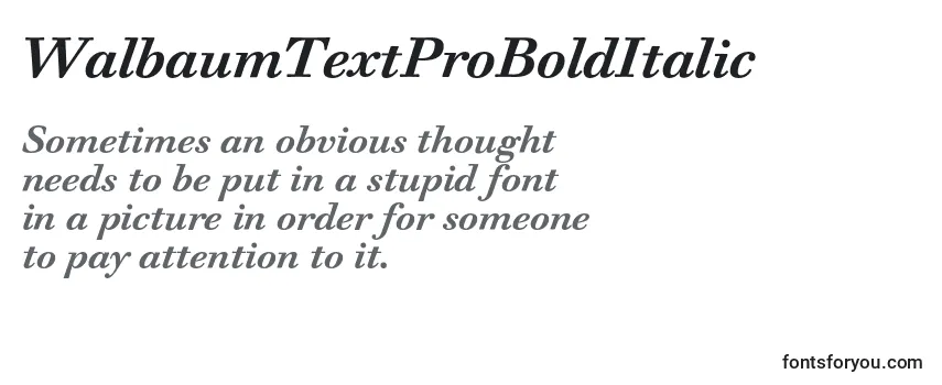 WalbaumTextProBoldItalic-fontti