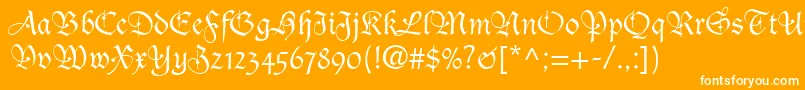 フォントDucDeBerryLt – オレンジの背景に白い文字