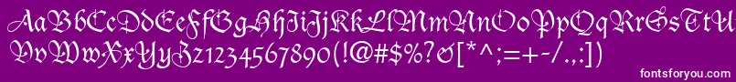 DucDeBerryLt Font – White Fonts on Purple Background