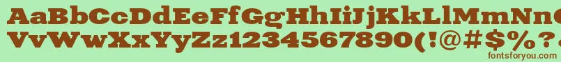 Xne1 Font – Brown Fonts on Green Background