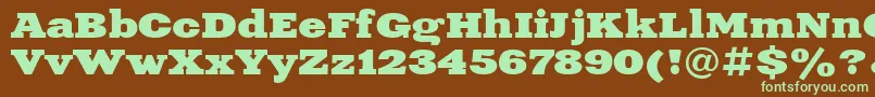 Xne1 Font – Green Fonts on Brown Background