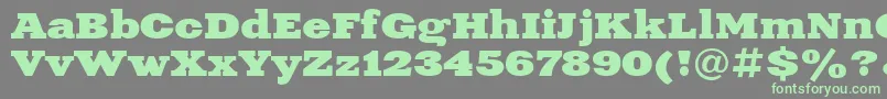 Xne1 Font – Green Fonts on Gray Background