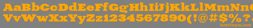 Xne1 Font – Orange Fonts on Gray Background