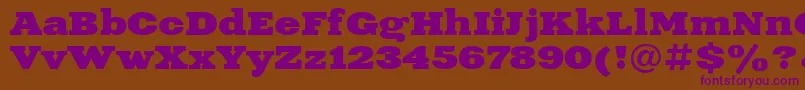 Xne1 Font – Purple Fonts on Brown Background