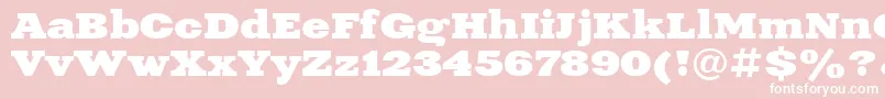 Xne1 Font – White Fonts on Pink Background